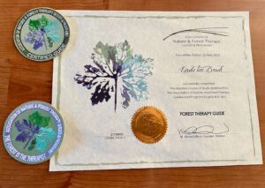 diploma forest therapy guide