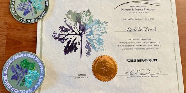 diploma forest therapy guide