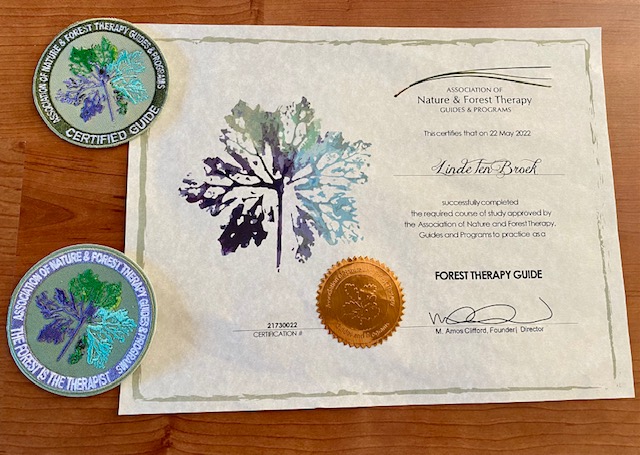 diploma forest therapy guide